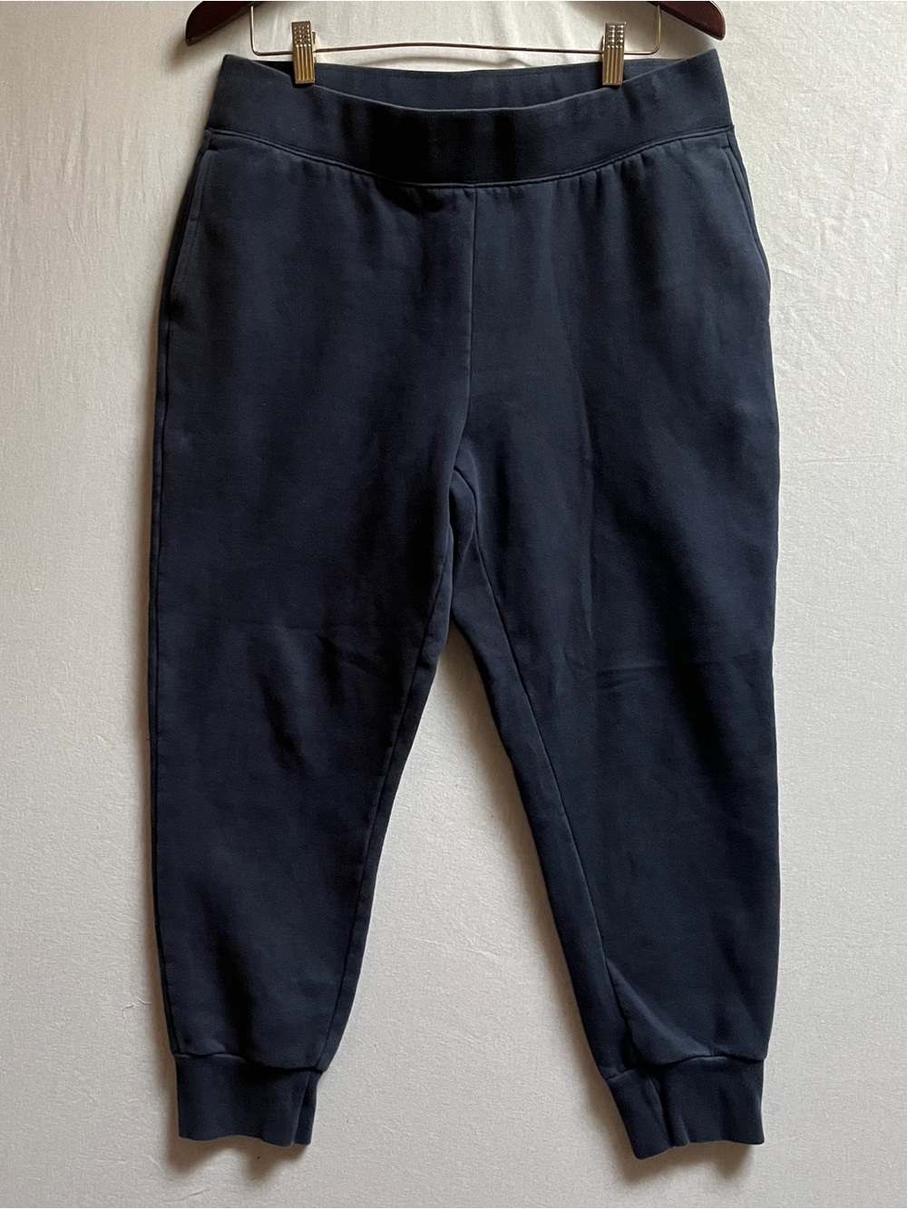 Tna Aritzia Cozy Fleece Relaxed Jogger Sweatpants Midnight Blue 1X